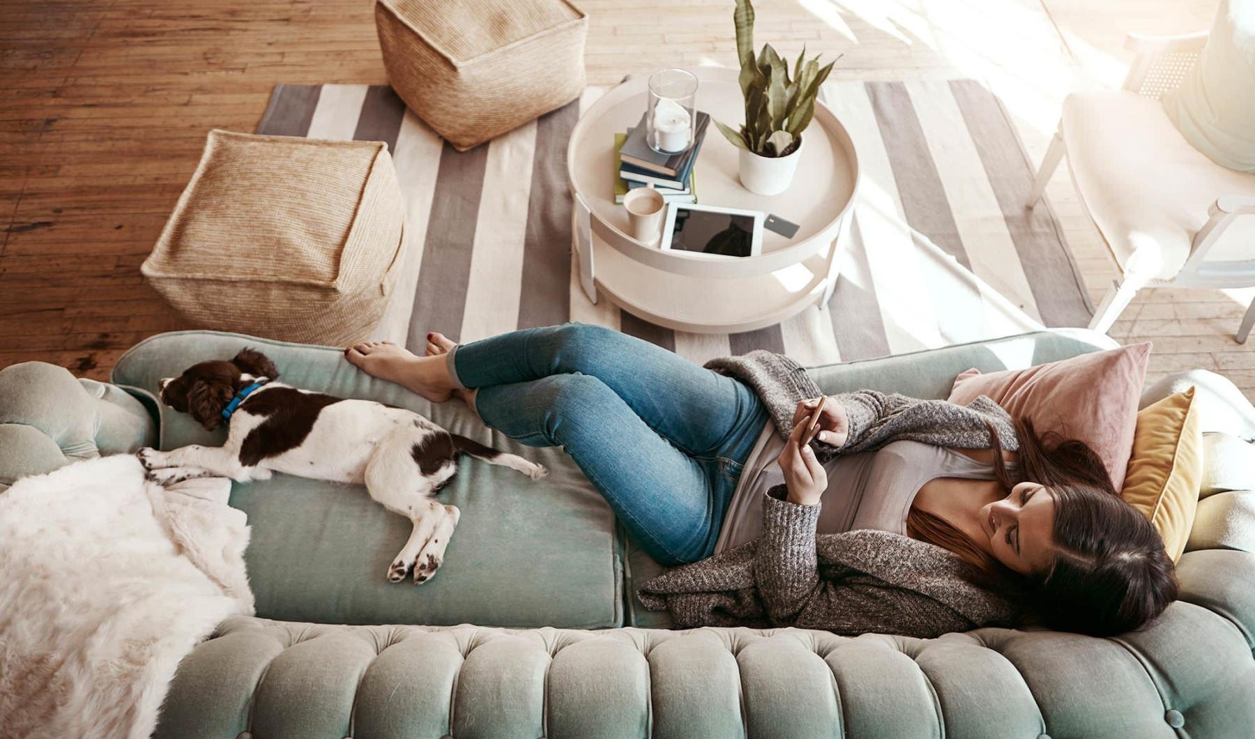 overhead view of  a woman texting as she lies on a couch with a dog at her feet
