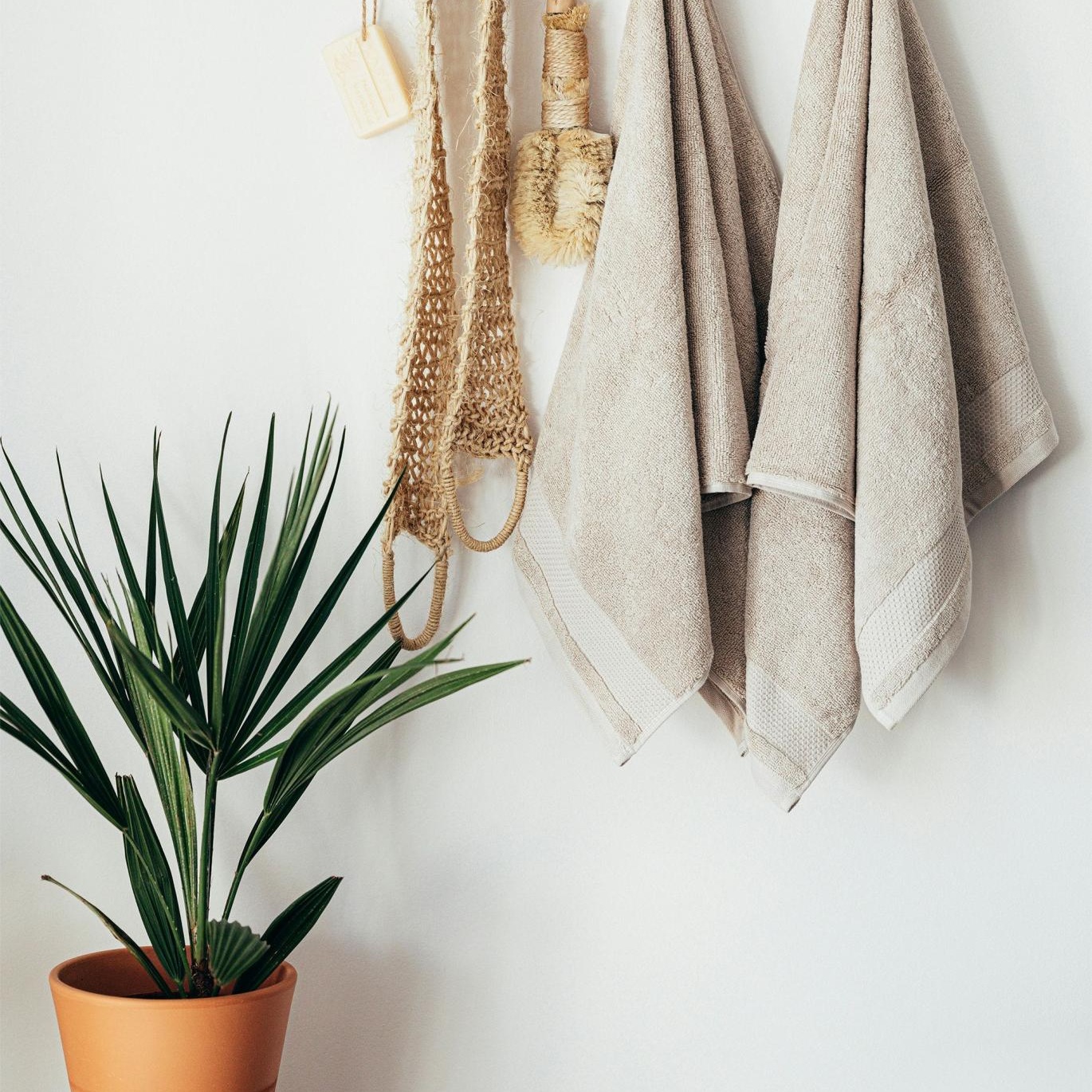 towels hanging on a wall near a plant
